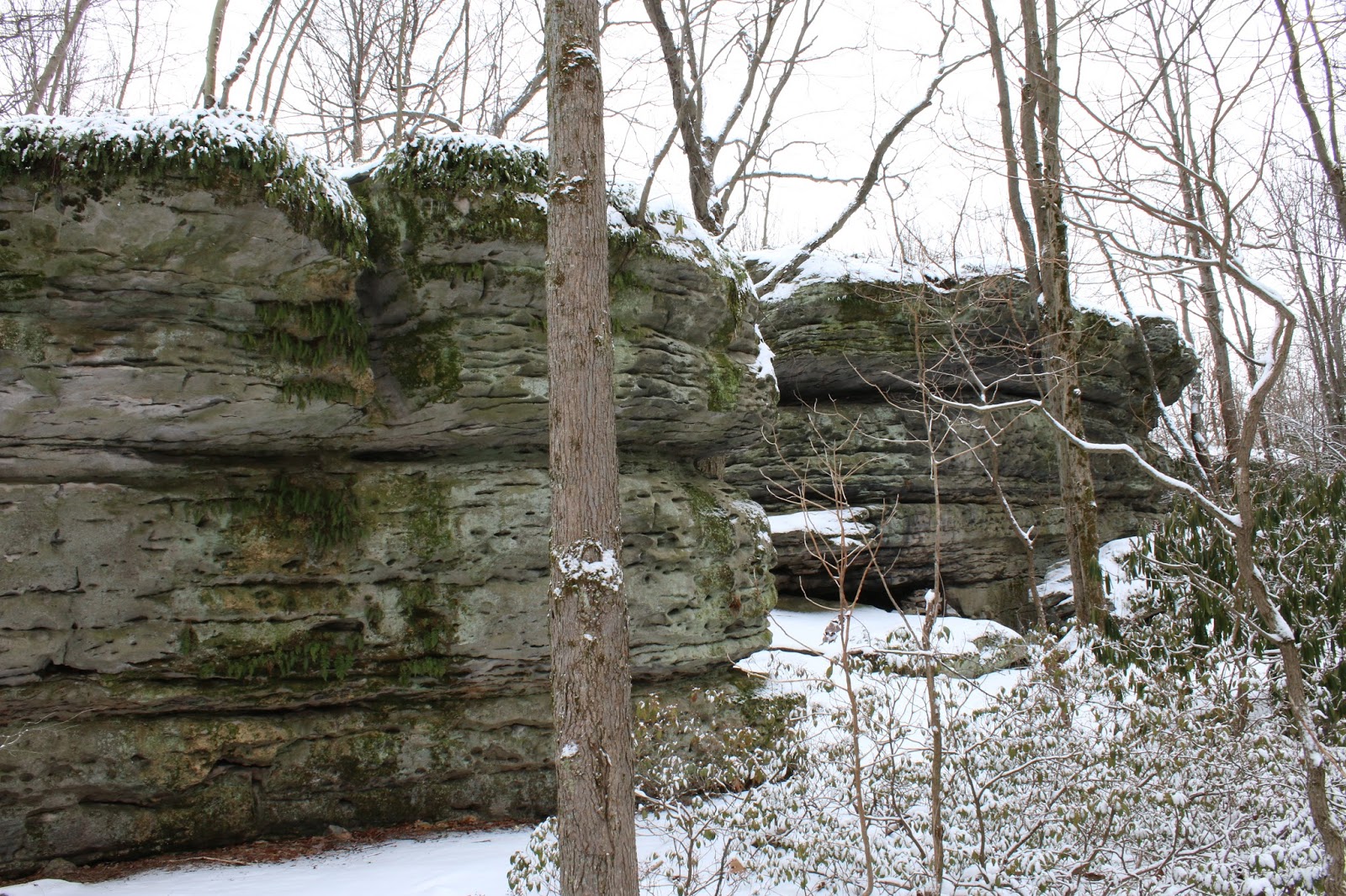 Panther Rocks, Moshannon State Forest near SB Elliott State Park