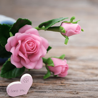 Sweet Images For Whatsapp Profile beautiful images for dp, cool dp, cute dps, cute images for whatsapp, new whatsapp dp, sweet images for whatsapp profile download, whatsapp dp images hd, whatsapp photo hd, whatsapp profile pic latest, sweet images for whatsapp profile, cute babies dp for whatsapp, cute baby pic for whatsapp dp,cute baby dp, Cute Whatsapp DP Profile Images, Download Latest Cute Whatsapp DP , Cute Whatsapp DP Images , Cute Whatsapp DP Photo Pictures Download , Cute Whatsapp DP Wallpaper Pics Download whatsapp profile pictures, whatsapp profile images, whatsapp dp, whatsapp profile pic latest, whatsapp dp images in hindi, whatsapp profile pic sad, whatsapp profile pic life hd, whatsapp profile pic life download,