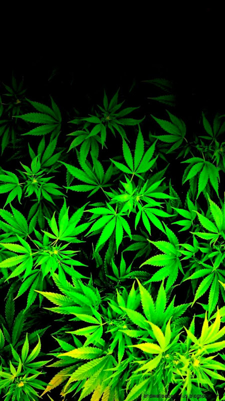 Weed Wallpaper on Pinterest  Marijuana Wallpaper Funny