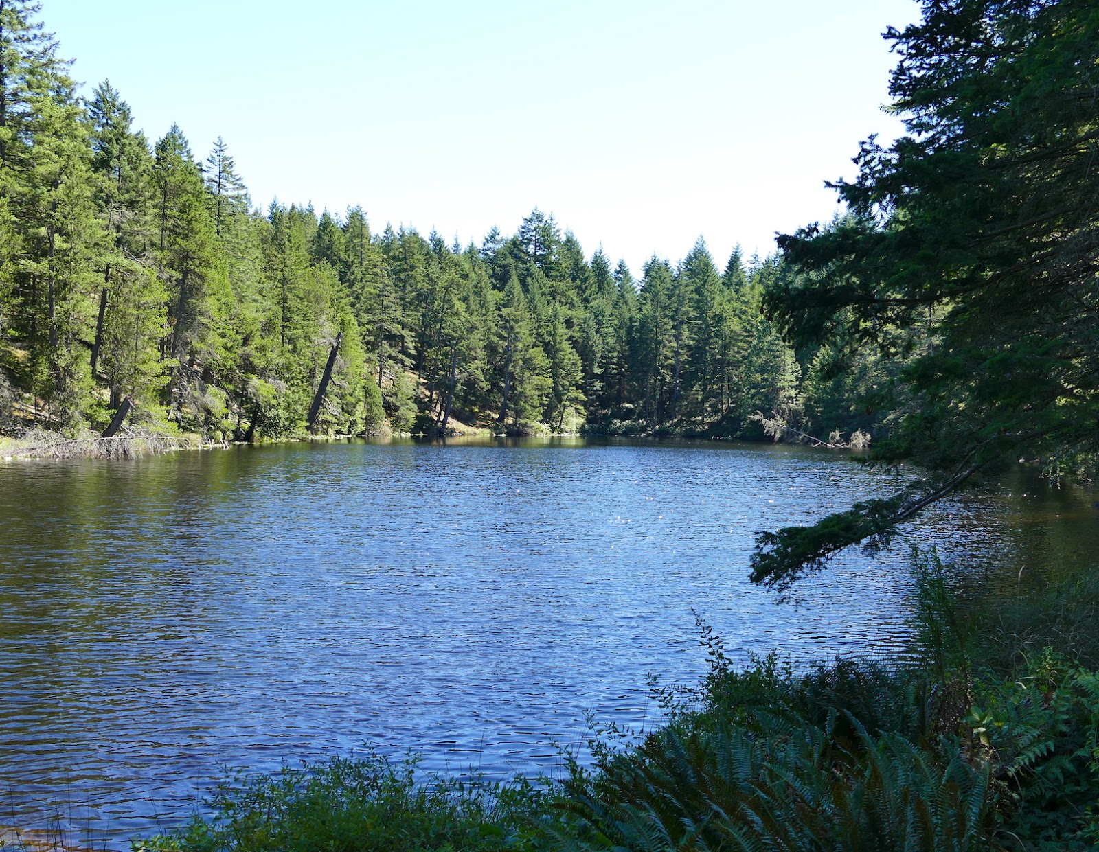 NORTH TO WHERE? BLIND BAY AND EAGLE HARBOR