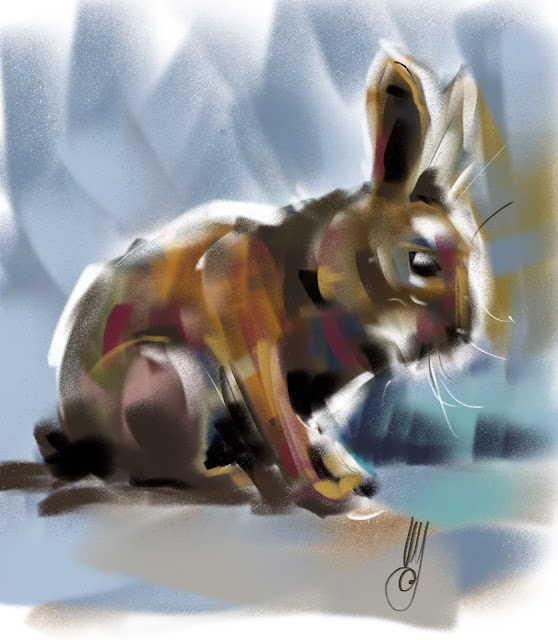 Rabbit by Artmagenta