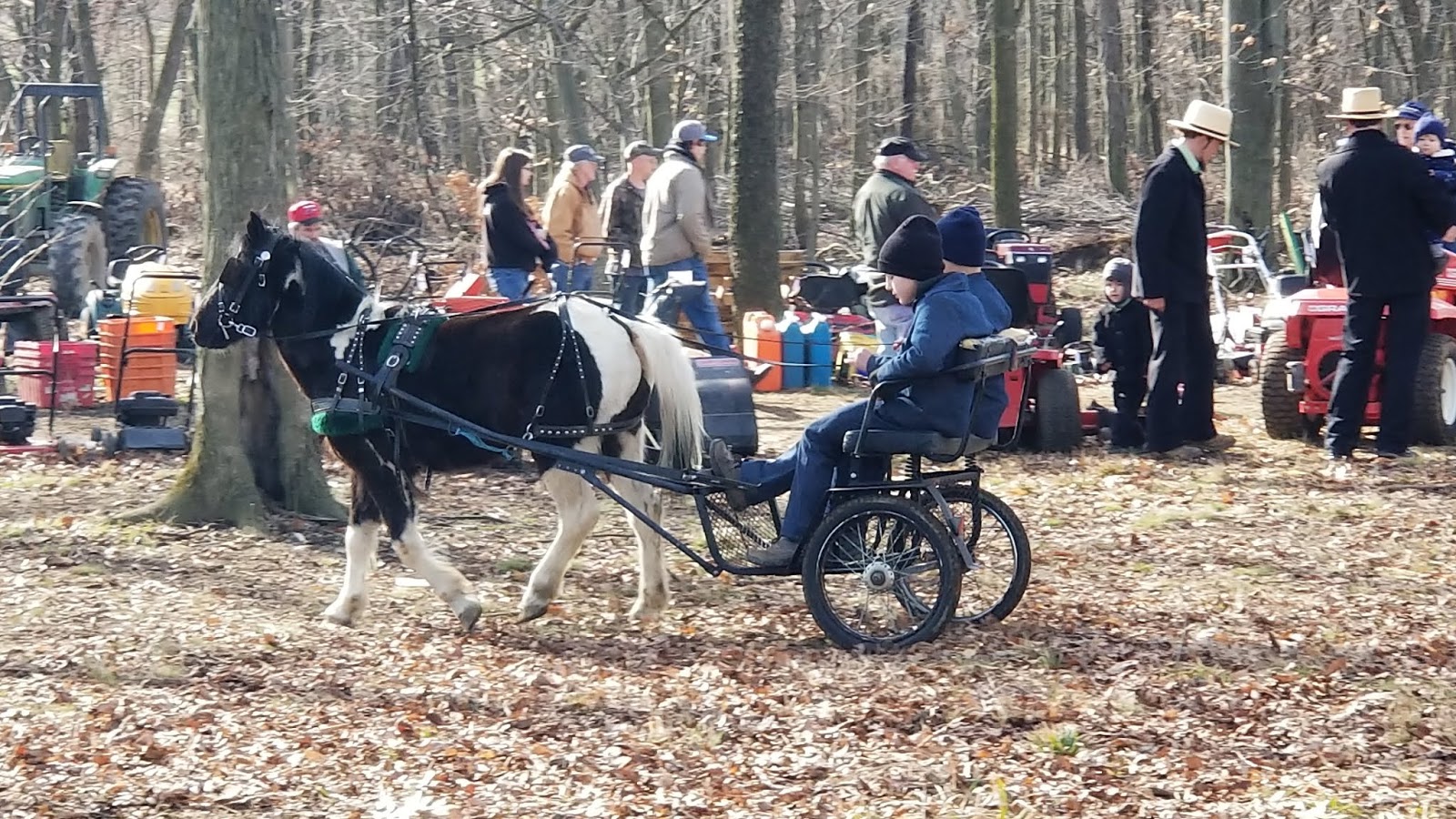 Valley Girl Views The Beaver Run (Amish Run) Consignment Auction