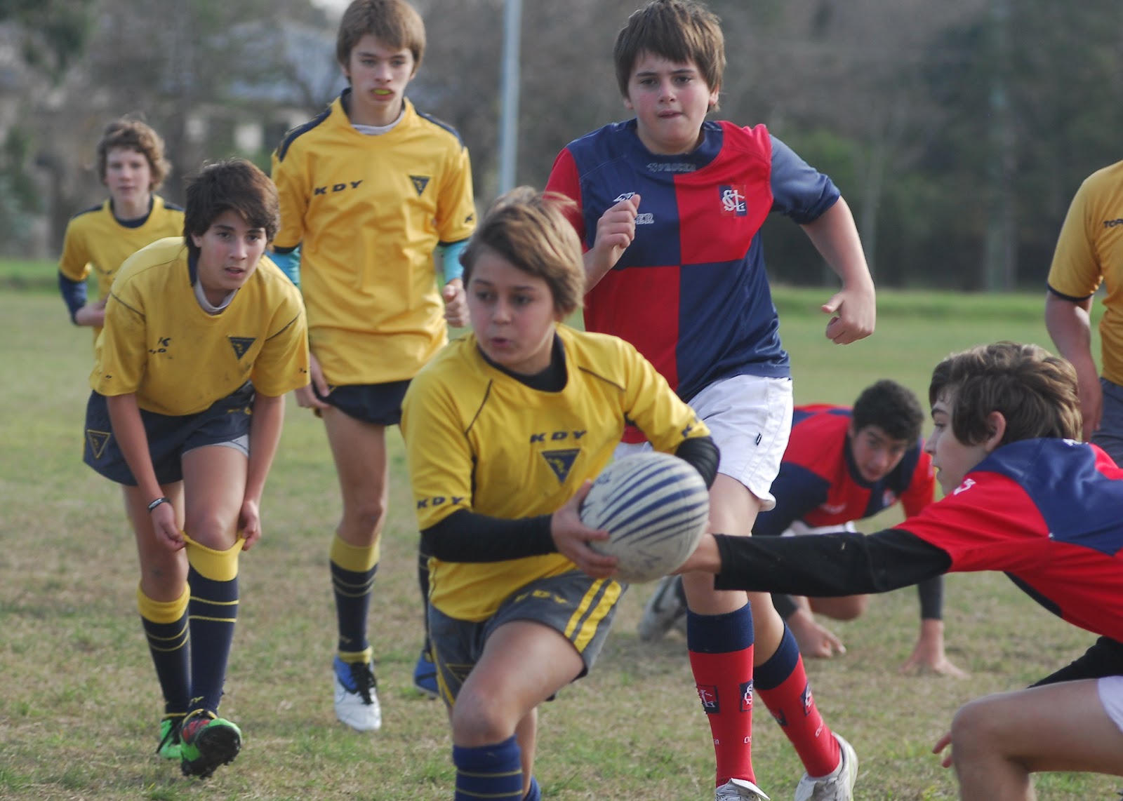 La Plata Rugby Club 1998 Jugamos con san Luis y Olivos
