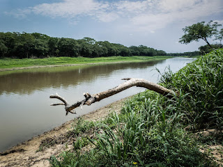 Formosa, Isla de Oro de cara al Rio Paraguay 