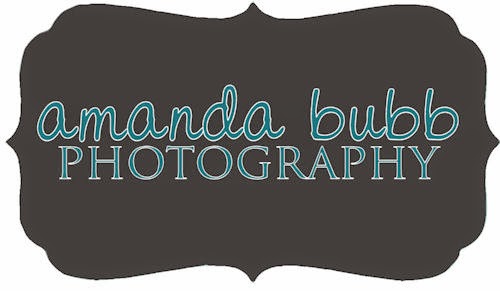 Amanda Bubb Photography Blog