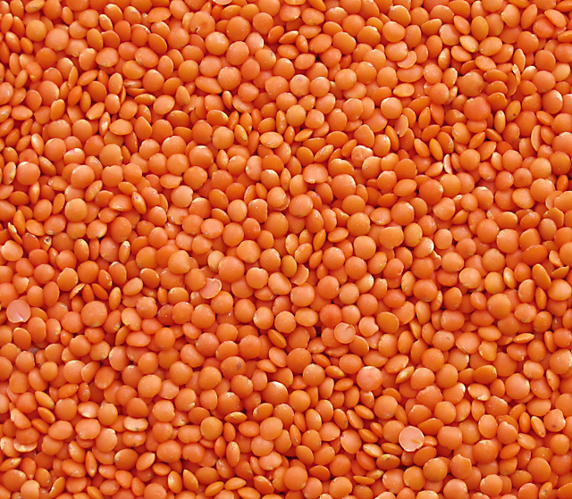 Names In Tamil Red Lentil In Tamil names-in-tamil-red-lentil-in-tamil