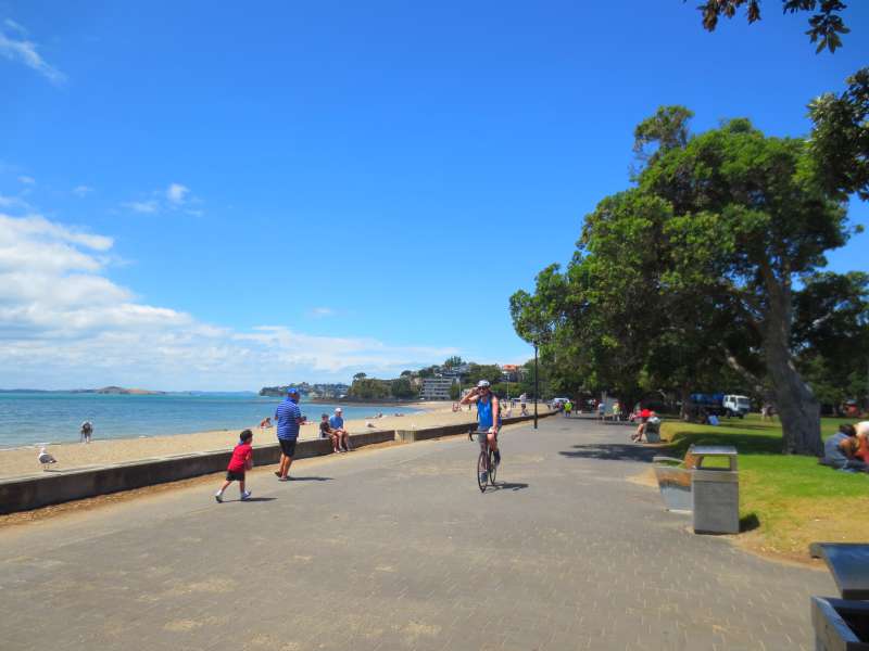 Auckland Waterfront Cycle Mission Bay