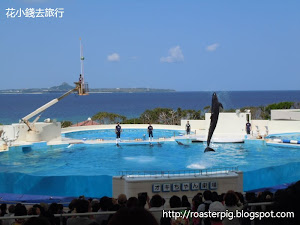 海豚劇場(オキちゃん劇場)位於美麗海水族館旁邊，由美麗海水族館一直沿電梯往海邊走就會看到海豚劇場的指示牌。海豚劇場屬於海洋博公園的一部份，而且表演是不需要門票，是免費的。一場表演大約為20分鐘，沒有因為免費就偷工減料，讚。   海博園內關於海豚的免費表演有3個  1. 海豚劇場 ...