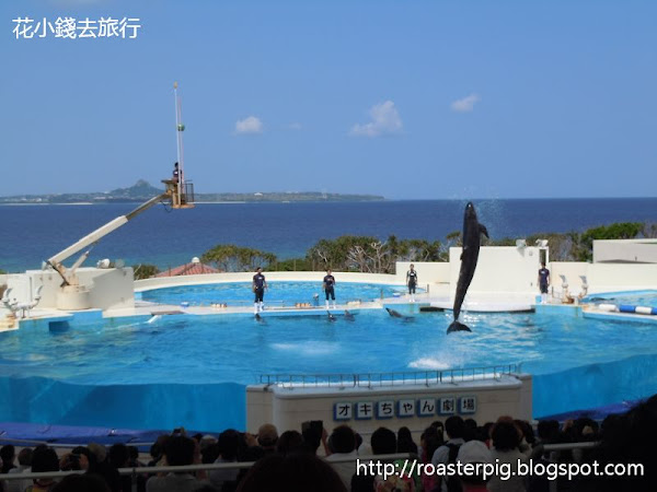沖繩版海豚劇場
