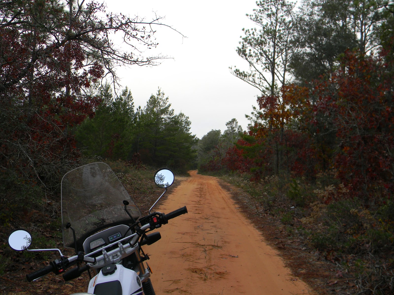 RVFulltimingLove Eglin Air Force Base Wildlife Management Area