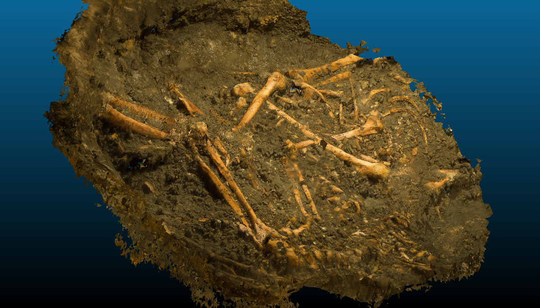 Carolingian-era mass grave discovered in France