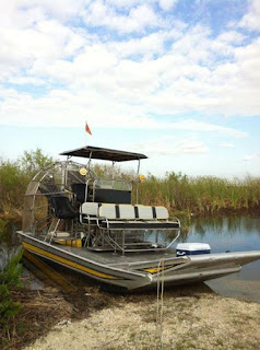 wildlife tours in everglades