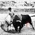TOREROS DE ALBACETE: ABELARDO VERGARA