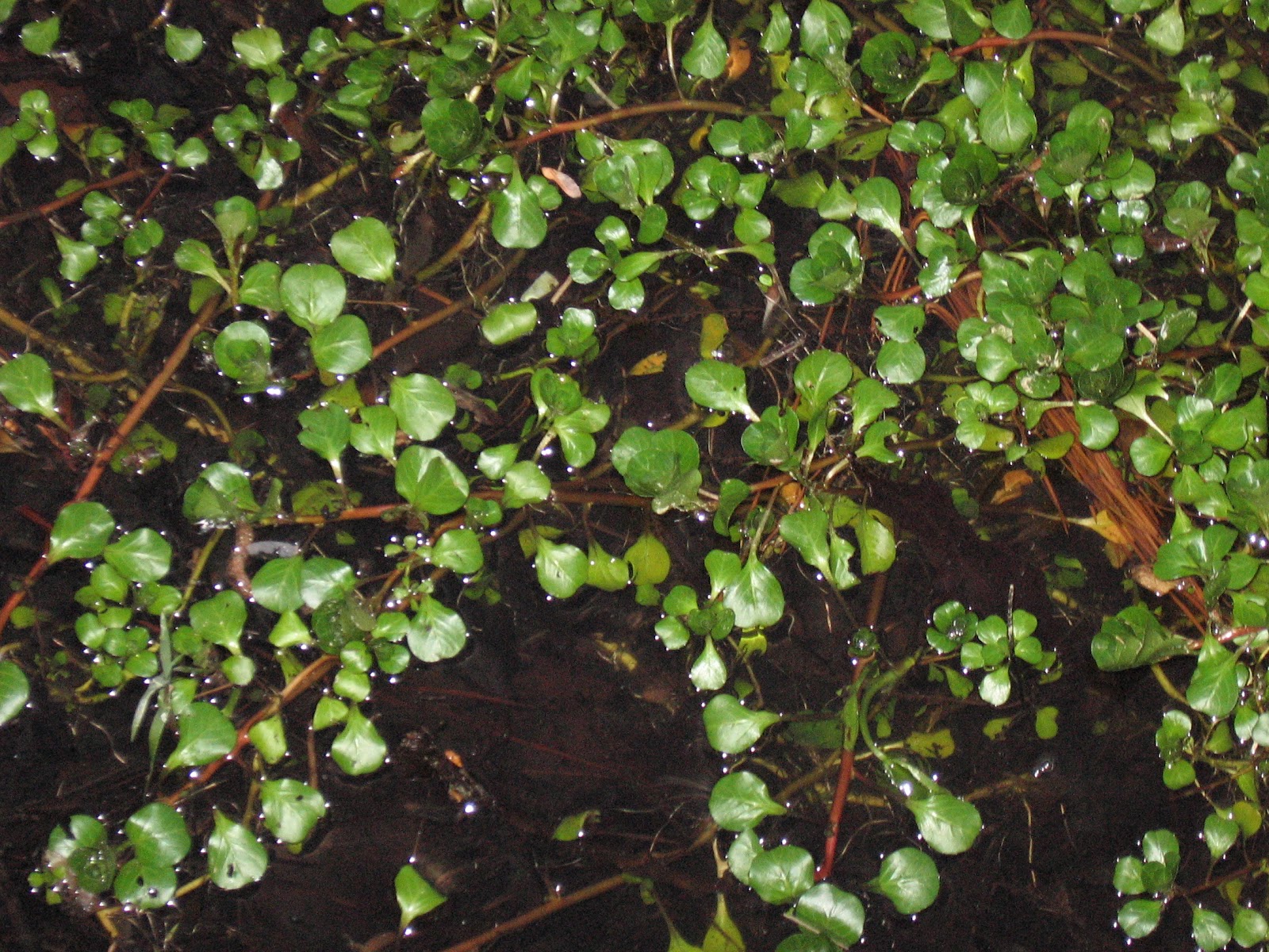 My Own Little World...