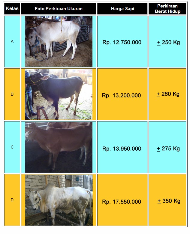 Harga hewan kurban tahun 2013 - INFO BERMANFAAT TERBARU 2014