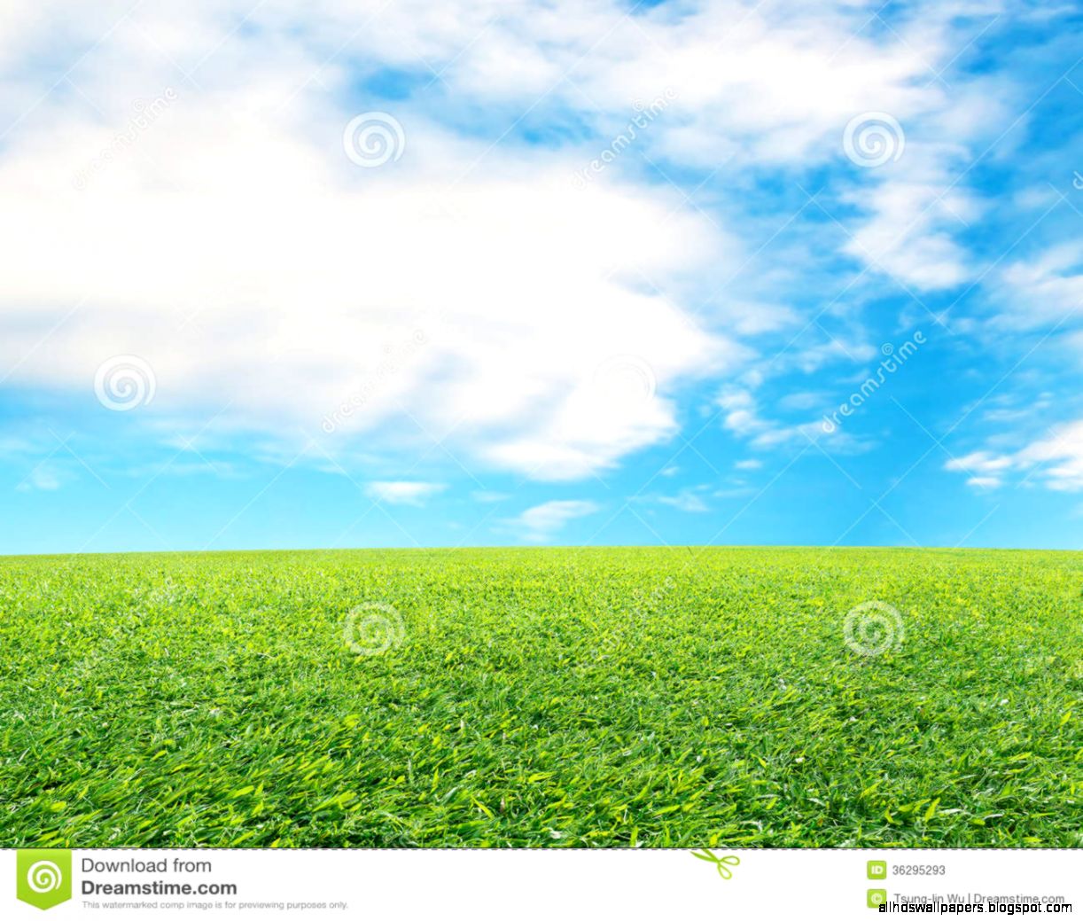 Beautiful Landscape With Fresh Green Meadow Cloud And Blue Sky