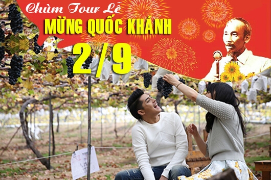 Tour du lịch Ninh Chữ Lễ Quốc Khánh 2/9: Khám Phá Vịnh Vĩnh Hy