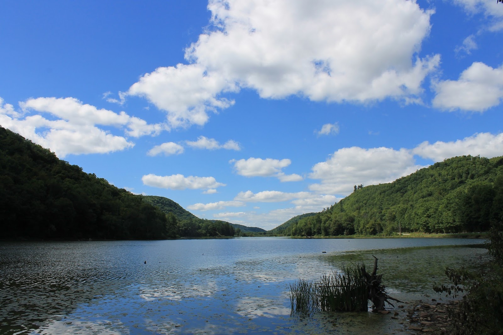 BOB CONFER'S COMMENTARY EXPLORING THE NIAGARA FRONTIER Alma Pond, one
