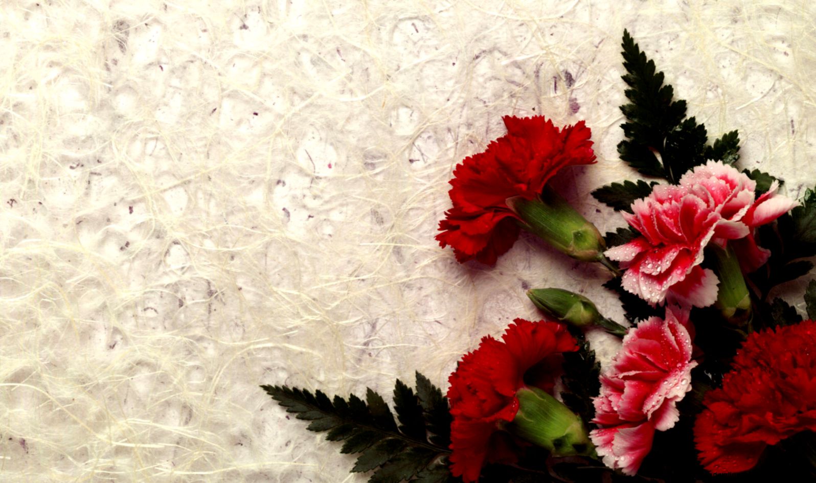 Beautiful Flowers Hd Background Wallpaper 33