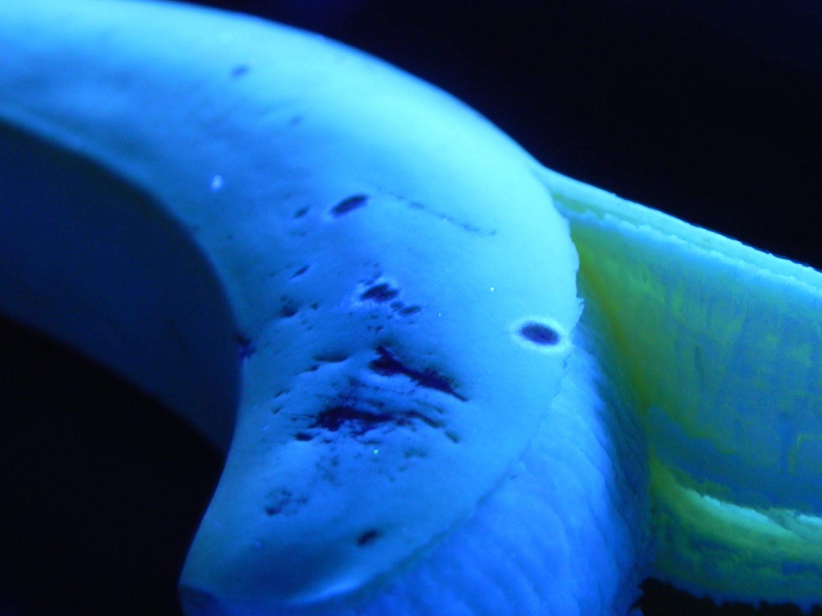 Flexitarian Writer Halloween Trickery, or Things that Glow Under Black