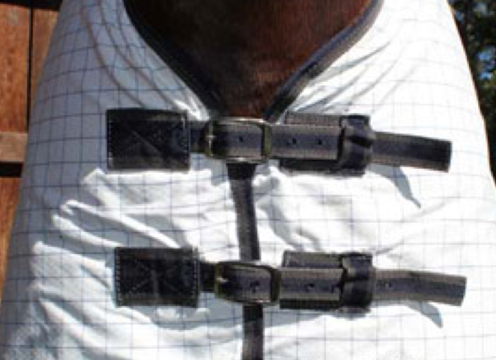 Raynham Stables Blanketing Tips!