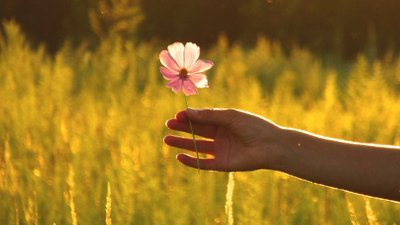 "Há um Deus Que Nos Ama de tal modo, que faz correr água nas rochas, nascer entre os espinhos lindas rosas, e tenho certeza, somos do seu jardim, a planta mais valiosa."
