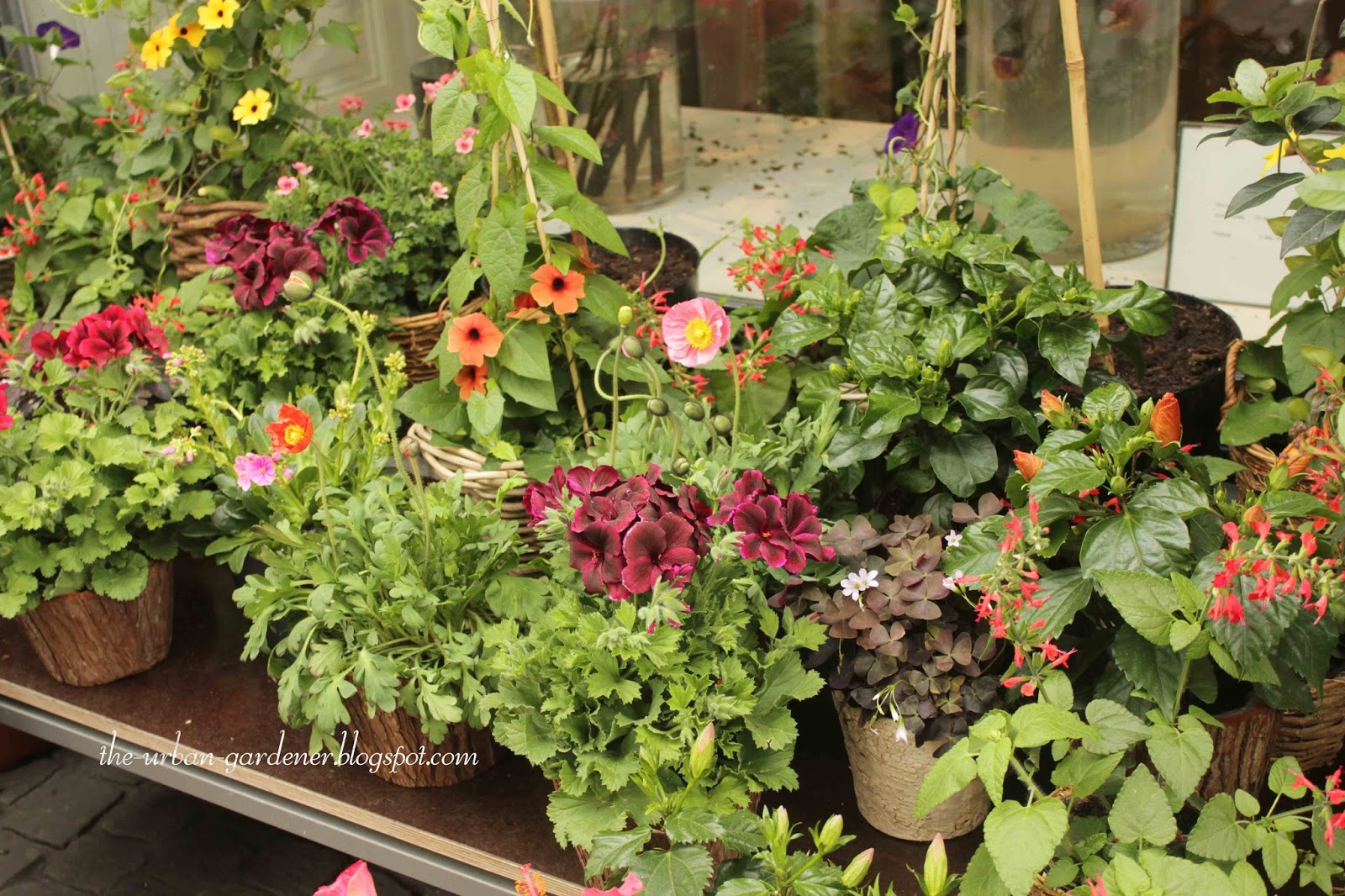 The Urban Gardener Travel More floral artistry in Zurich