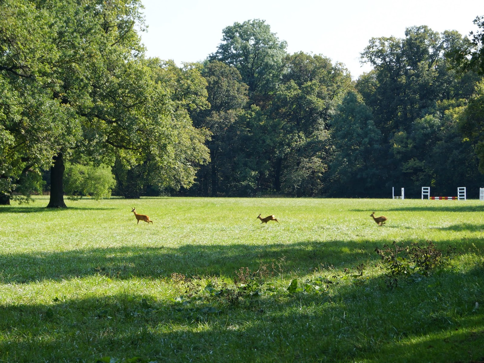 Schlosspark Laxenburg: Die Tafel ist reichlich gedeckt