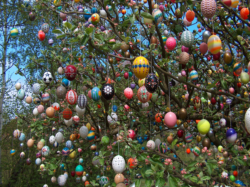 Pictures Of Easter Egg Trees 82