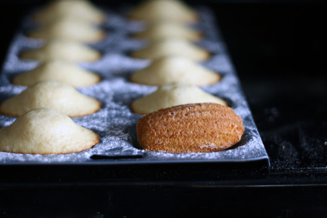 A tray of freshly baked light honey-coloured madeleines with one flipped over showing the caramel brown shell side.