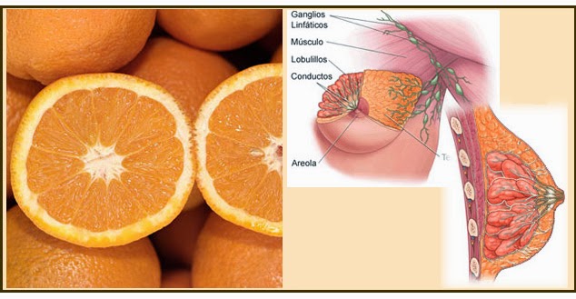 Alimentos para mantener nuestro cuerpo siempre sano