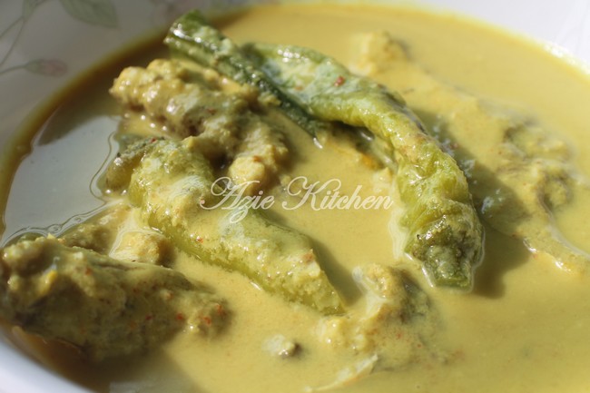 Gulai Lemak Kuning Ikan Jenahak