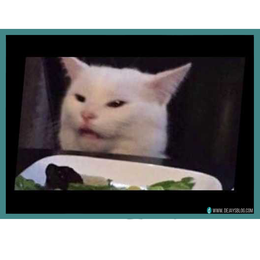 Funny Cat Pictures Memes Quotes Smudge The Cat Meme Art