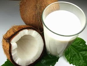 khasiat dan manfaat santan kelapa