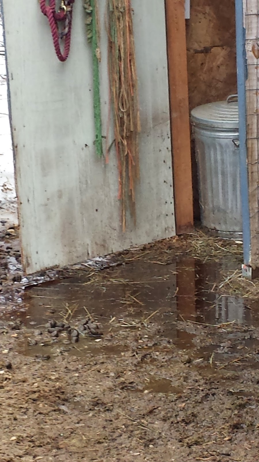 My Miniature Donkeys Hay Feeder Addendum