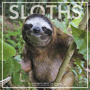 2018 Sloths Wall Calendar (Landmark)