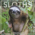 Download 2018 Sloths Wall Calendar (Landmark) Ebook by Landmark (Calendar)