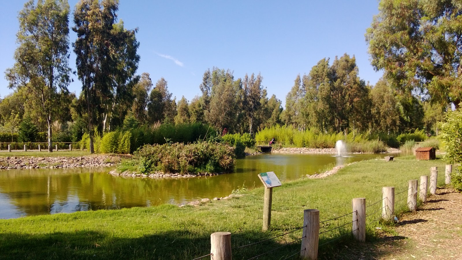 WP_20130512_018.jpg