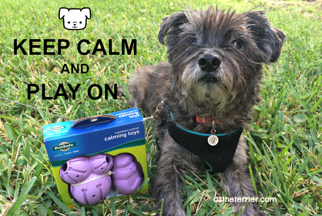 oz keep calm and play on with PetSafe Calming Toys for dogs
