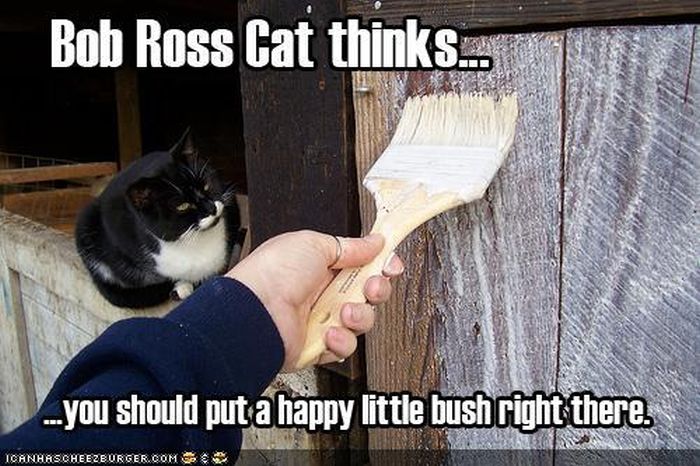 cat_memes_02.jpg