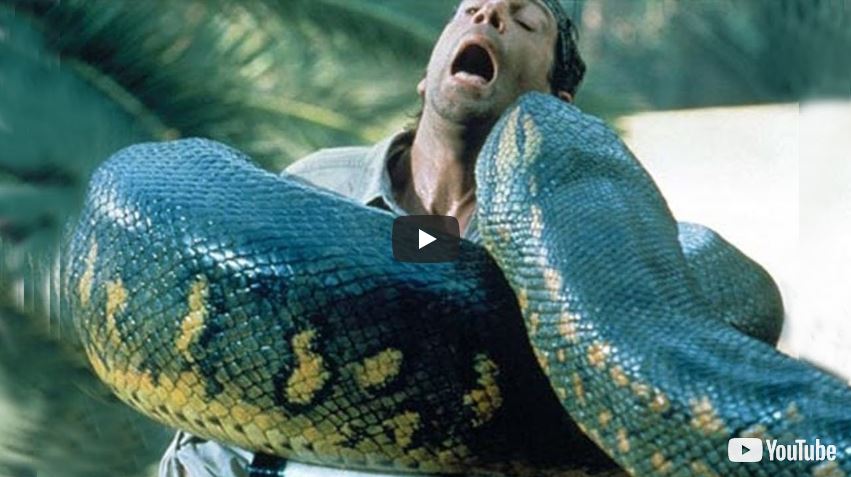 Horror Snake Hollywood Super Action Full Movie 2018 | Popular Movies