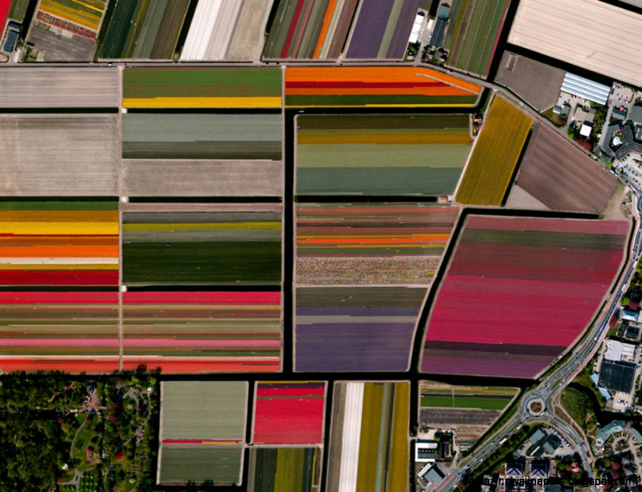 Troubling Photos Show Our Planet as Astronauts See It  WIRED