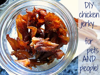 easy recipe for homemade chicken jerky -- for people and dogs