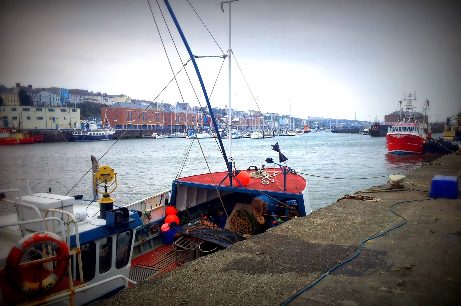 , Milford Haven:The Docks- Lobster Pots and Hermit Crabs