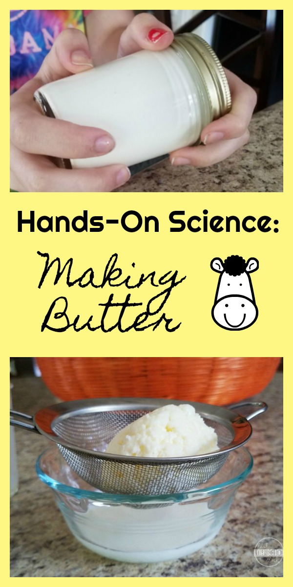 Homemade Butter Science Experiment