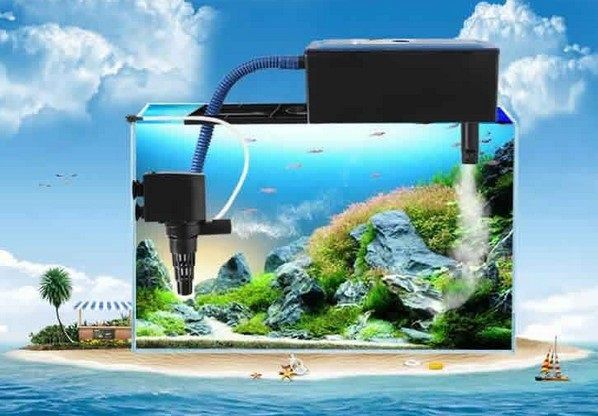 Filter Aquarium Air Tawar Yang Baik Dan Berukut Cara Memilih Serta