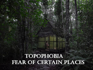  Topophobia, fear of certain places, fear of performing