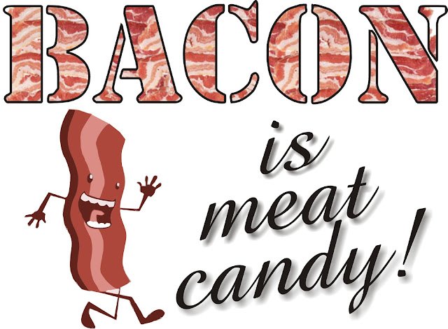 Bacon Is Meat Candy1