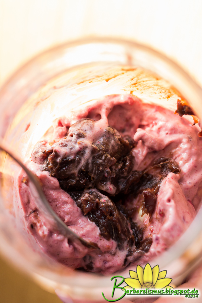 Barbarelismus Raspberry Chocolate Fudge Ice Cream