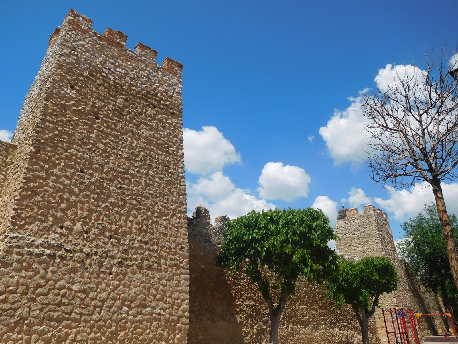 En Busca del Hada Azul Olmedo
